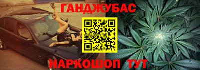 амф Кингисепп