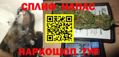 амф Кингисепп