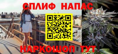 амф Кингисепп