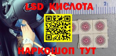 амф Кингисепп