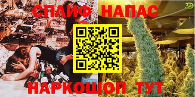 амф Кингисепп