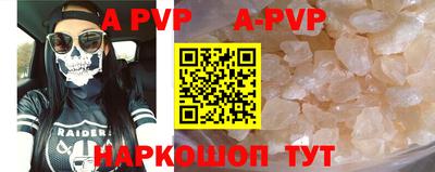 амф Кингисепп