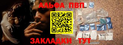 амф Кингисепп