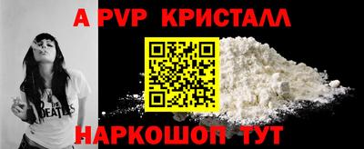 амф Кингисепп
