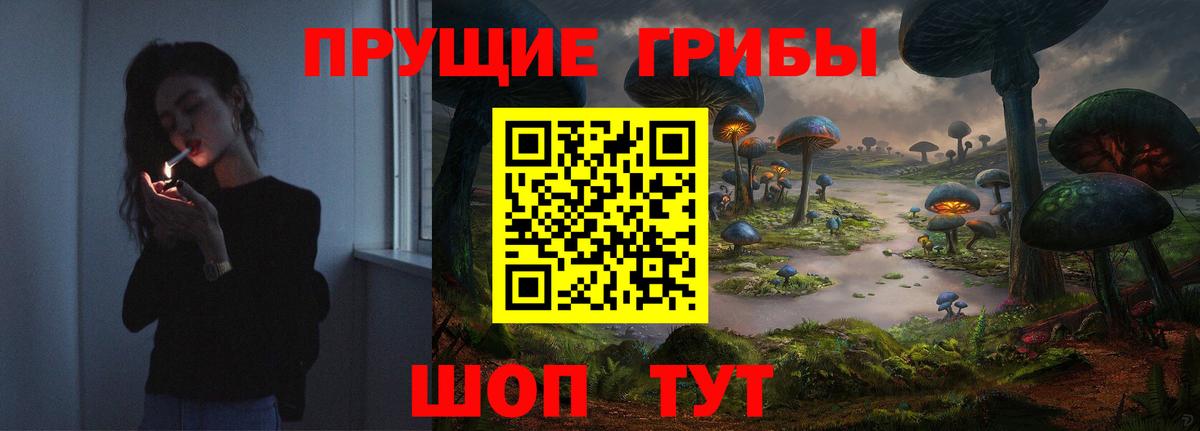 Кандалакша  Галлюциногенные грибы Cubensis  Псилоцибиновые грибы мицелий  Вход с VPN 